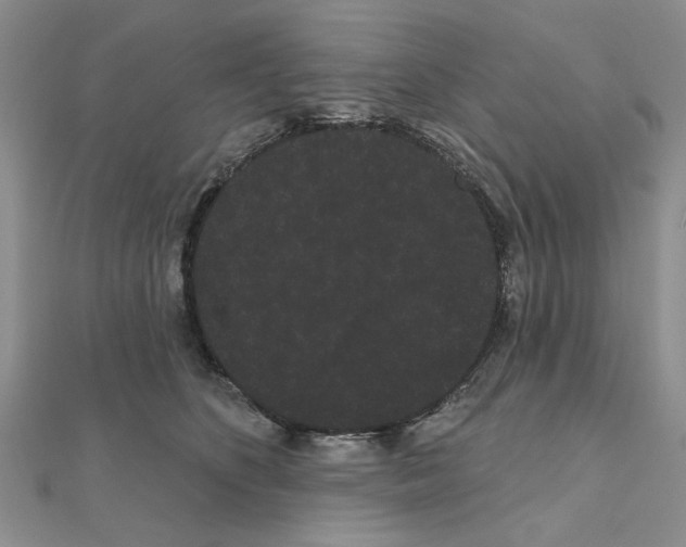 X0000111050516200908061520