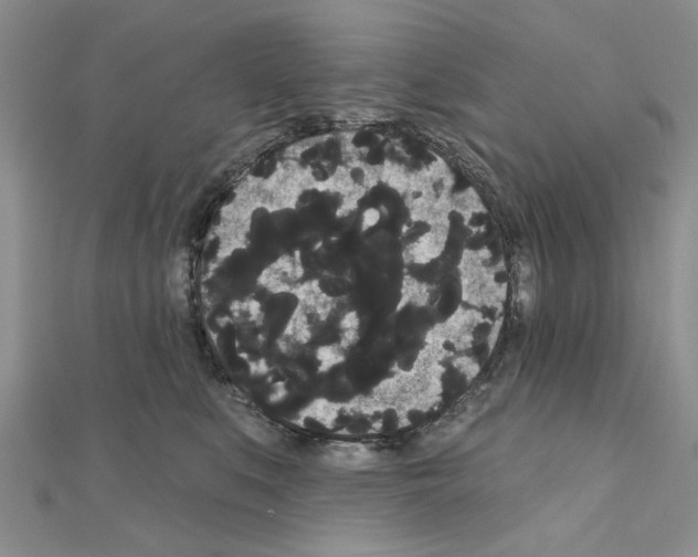 X0000111050519200908061520