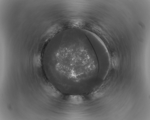 X0000111050520200908061520