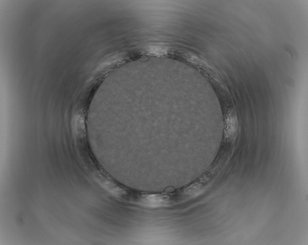 X0000111050522200908061520