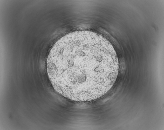 X0000111050523200908061520