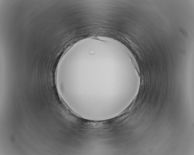 X0000111050524200908061520