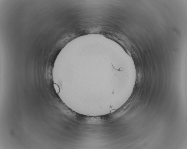 X0000111050525200908061520