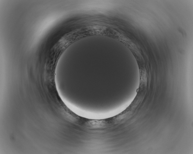 X0000111050526200908061520