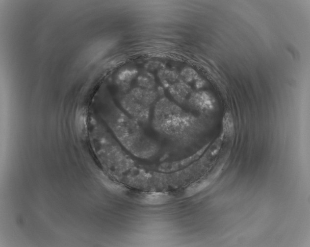 X0000111050527200908061520