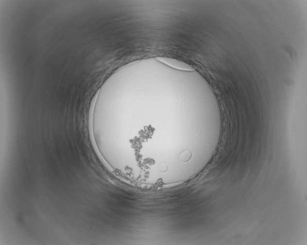 X0000111050528200908061520