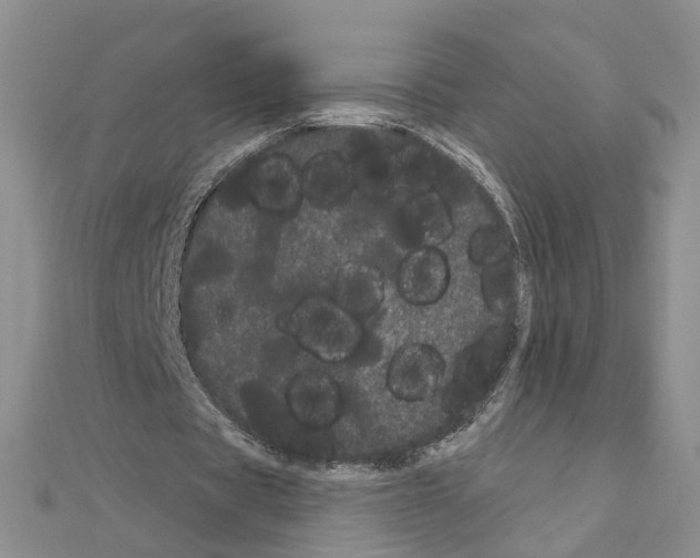 X0000111050529200908061519