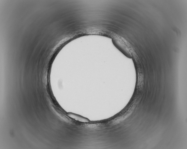 X0000111050530200908061519