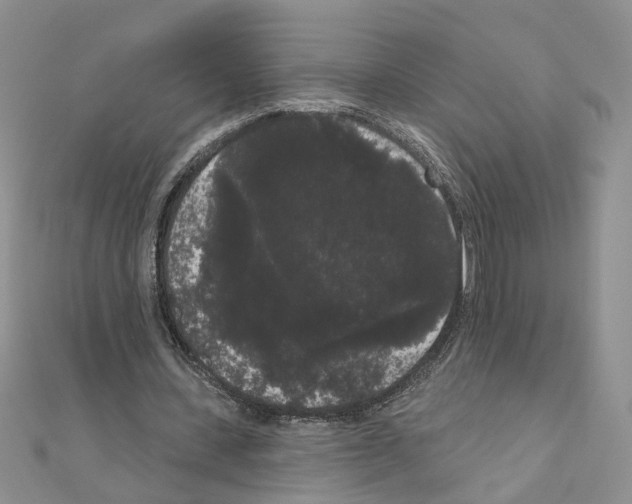 X0000111050531200908061519