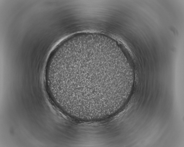 X0000111050532200908061519