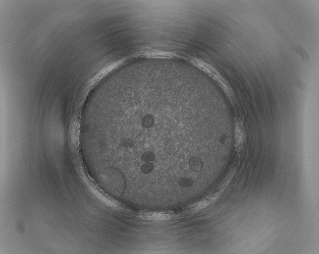 X0000111050533200908061519