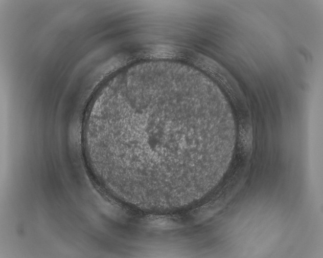 X0000111050534200908061519