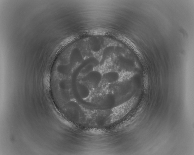 X0000111050537200908061519