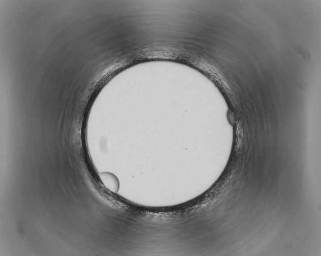 X0000111050538200908061519