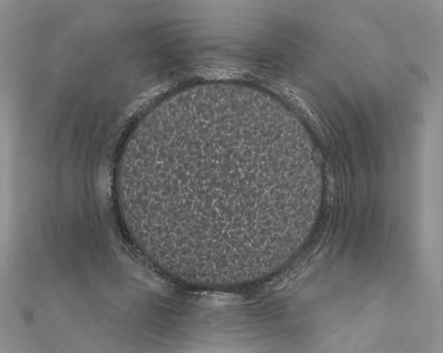 X0000111050539200908061519