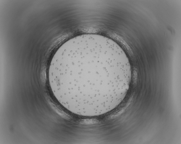 X0000111050541200908061519