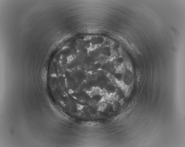 X0000111050542200908061519