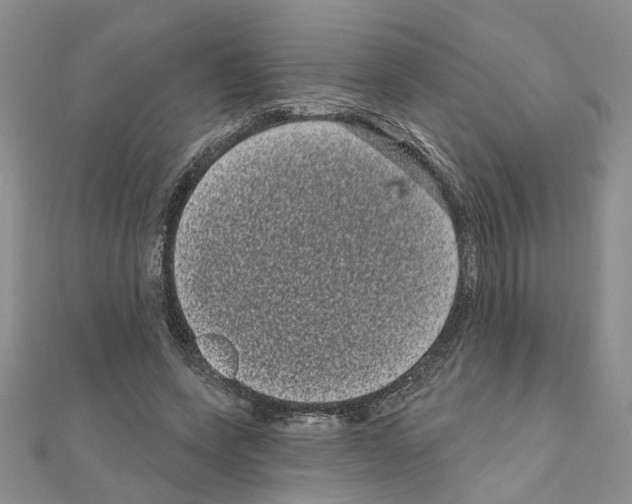 X0000111050543200908061520