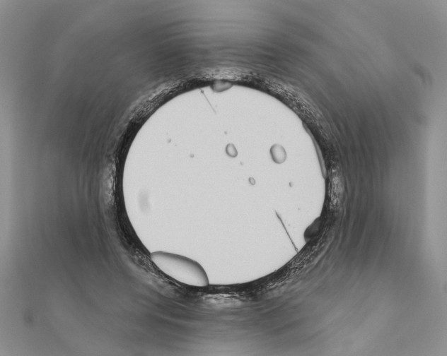 X0000111050544200908061520