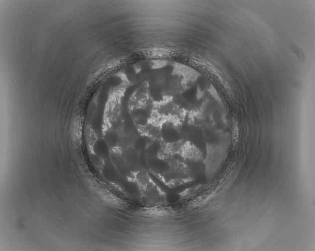 X0000111050545200908061520