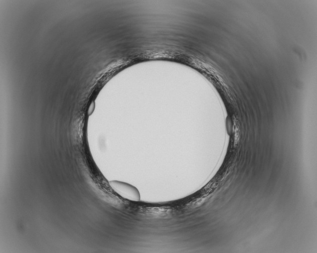 X0000111050546200908061520