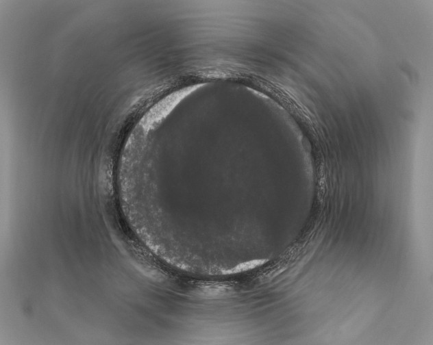 X0000111050547200908061520