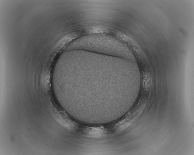 X0000111050548200908061520