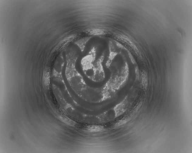 X0000111050549200908061520