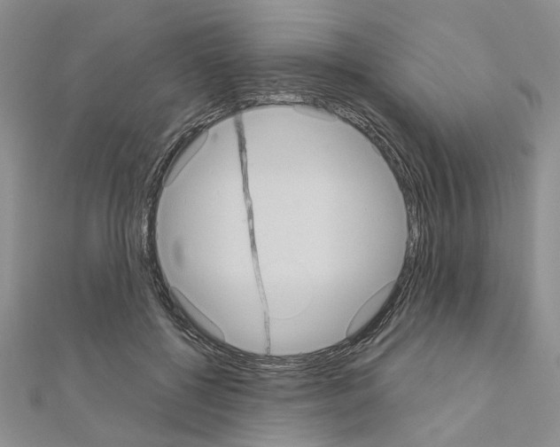 X0000111050552200908061520