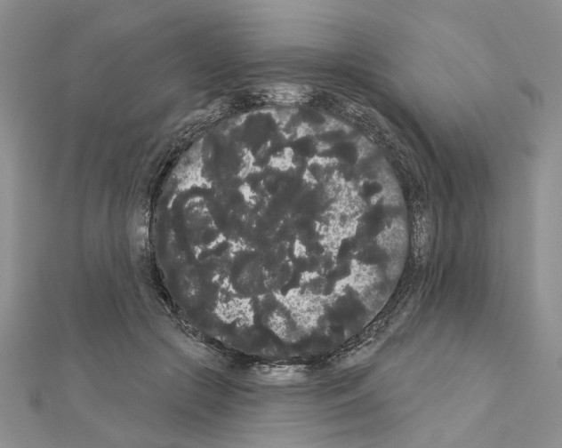 X0000111050553200908061520