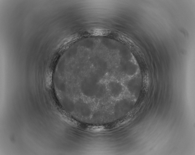 X0000111050554200908061520