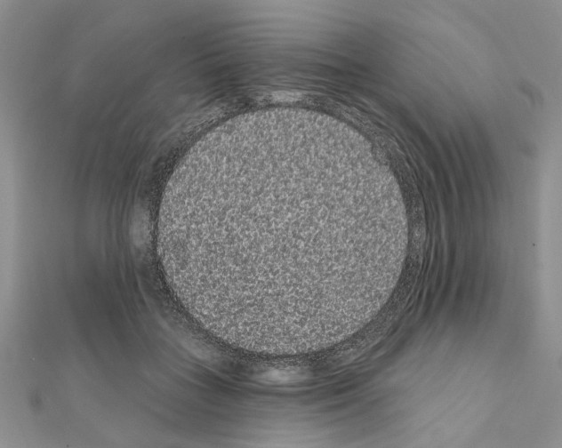 X0000111050555200908061520