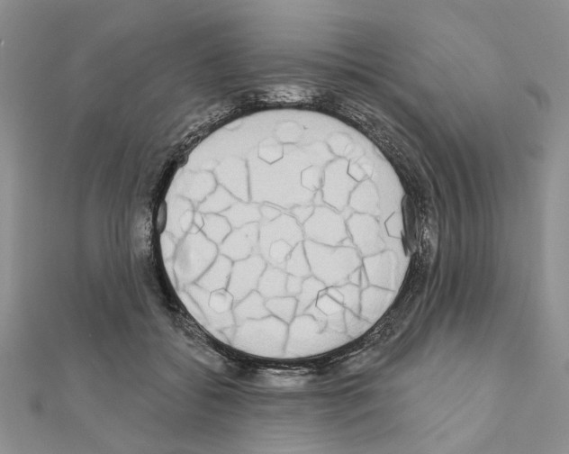 X0000111050556200908061520