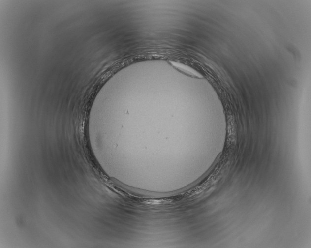 X0000111050558200908061520