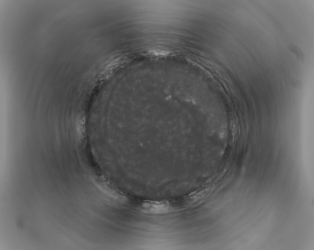 X0000111050559200908061520