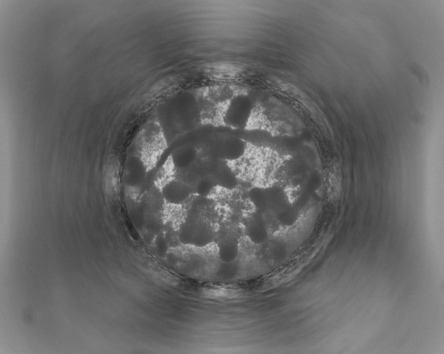 X0000111050561200908061520