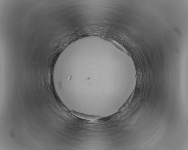 X0000111050562200908061520