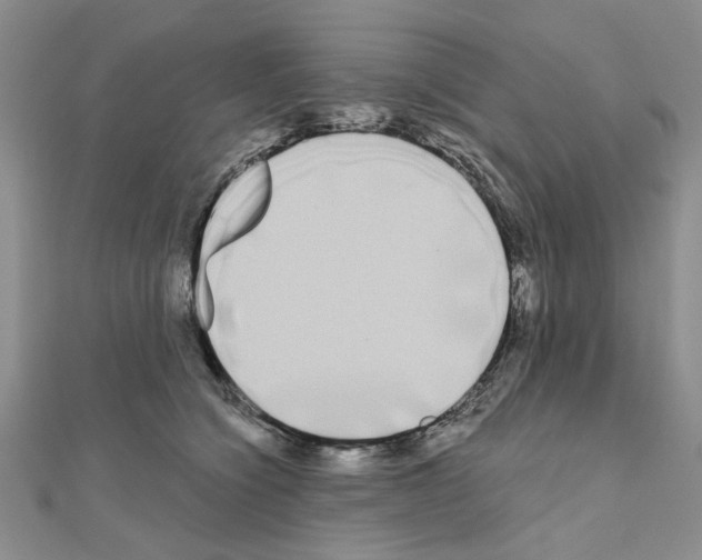 X0000111050564200908061520