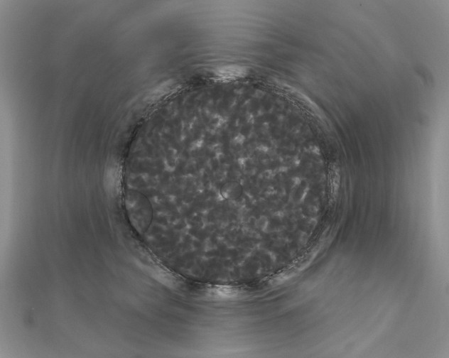 X0000111050565200908061520