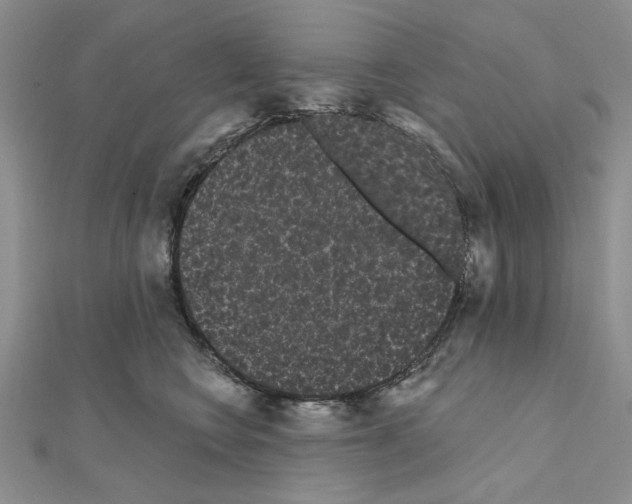 X0000111050566200908061520