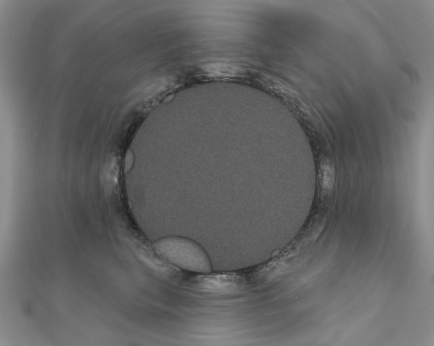 X0000111050567200908061520