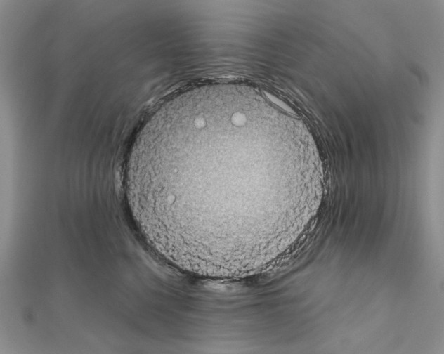 X0000111050568200908061520