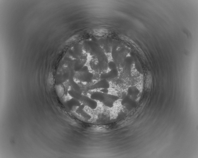 X0000111050569200908061520