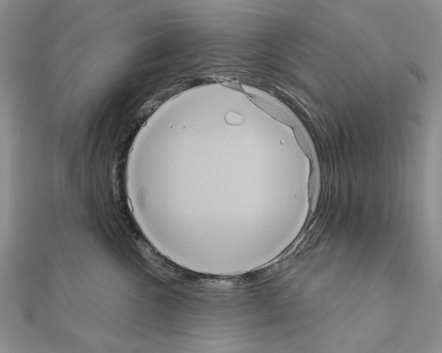 X0000111050572200908061520