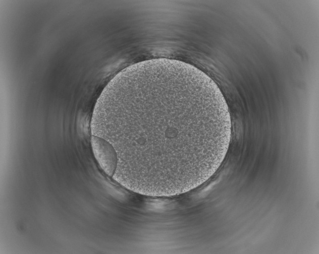 X0000111050575200908061520