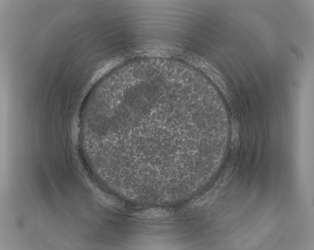 X0000111050578200908061519