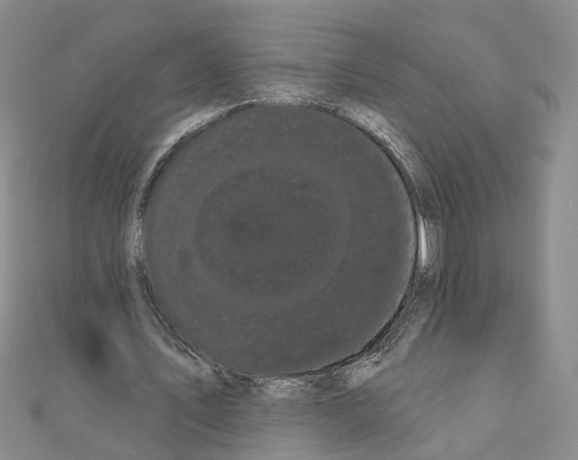 X0000111050579200908061519