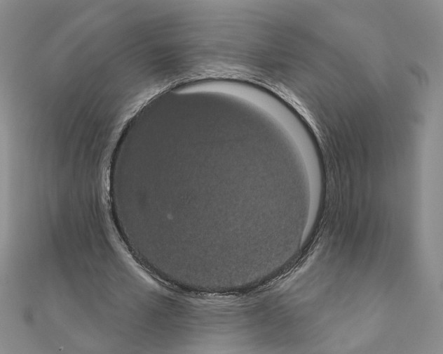 X0000111050581200908061519