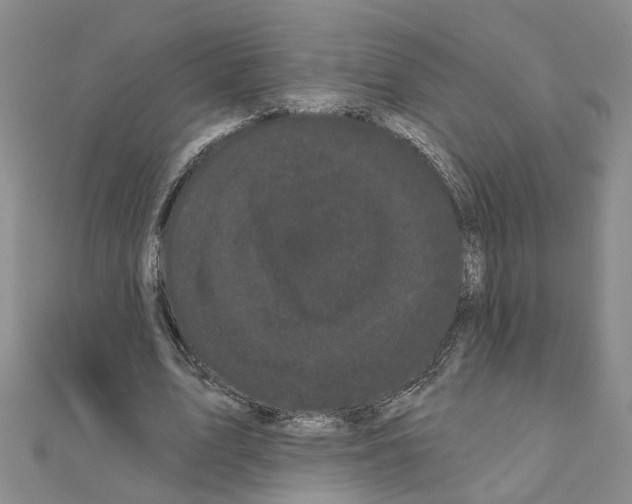 X0000111050583200908061519