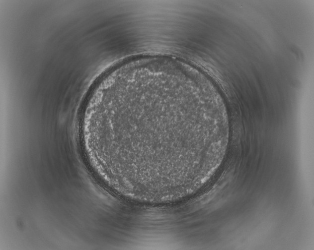 X0000111050584200908061519